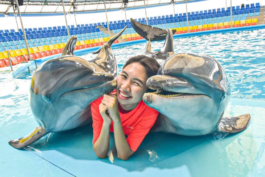 Dolphines Bay Phuket